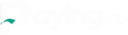 Paying.co